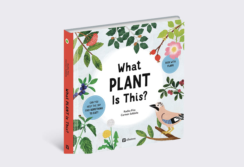 What Plant Is This?