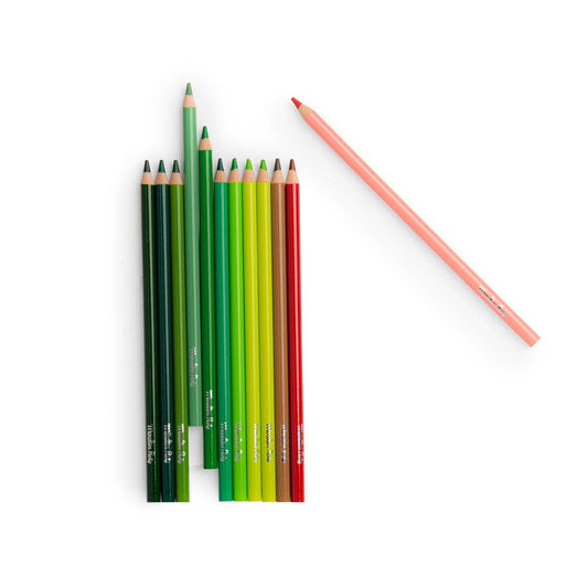 Nature Colouring Pencils