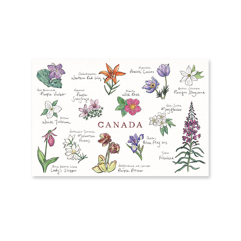 Canada Sketches Postcard Book
