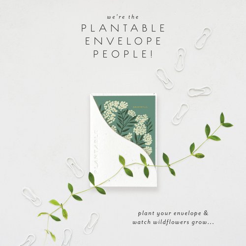 Grateful Mini Sprouts Card