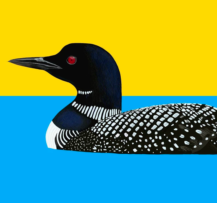 Loon on the Water Card