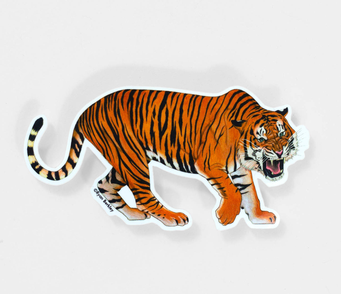 Tiger Sticker