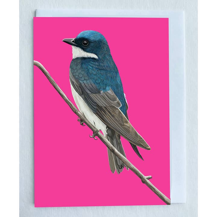Tree Swallow Card