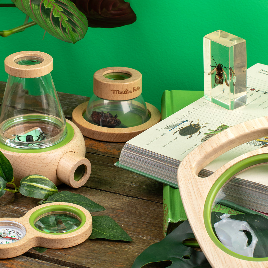 Le Botaniste Small Observation Box