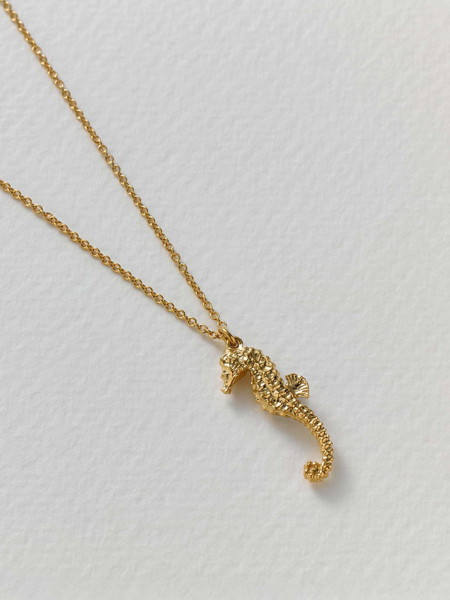 Seahorse Necklace