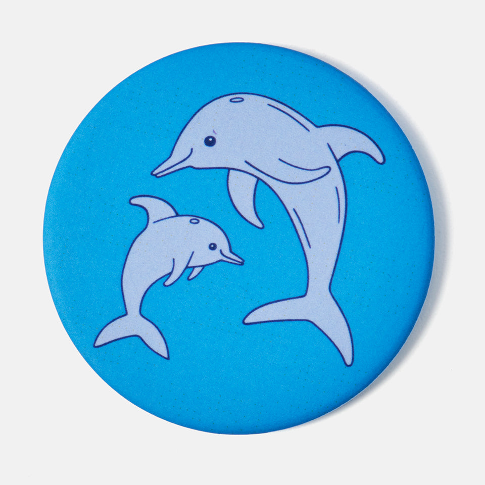 Dolphin Magnet