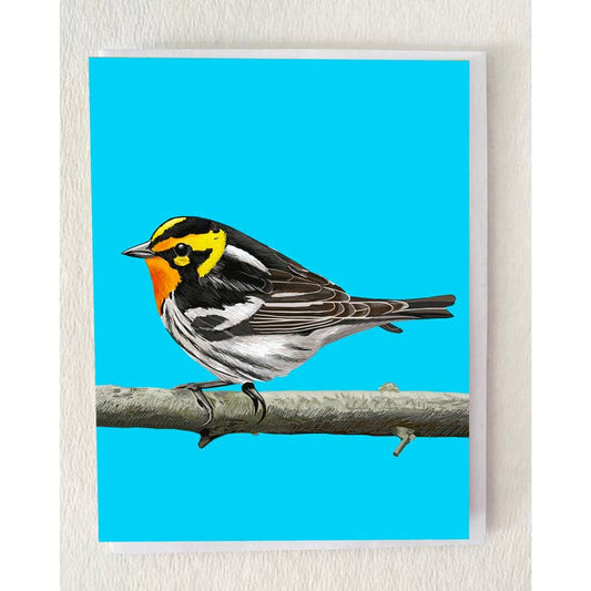 Blackburnian Warbler Card