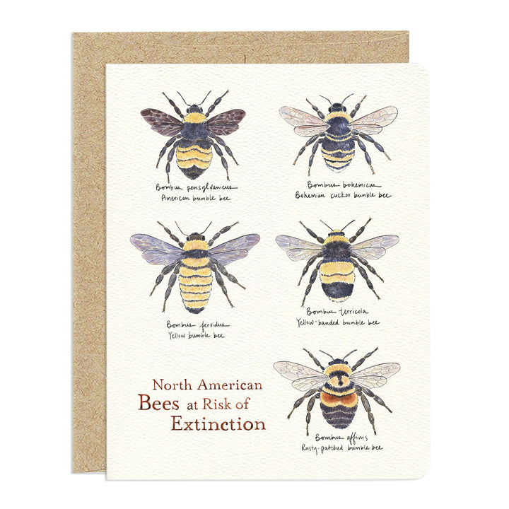 Bumblebee Conservation Awareness Card