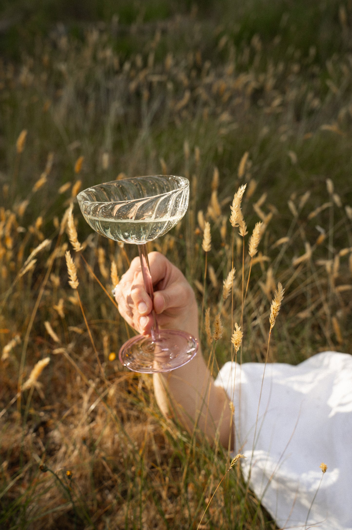 Celeste Coupe Glass