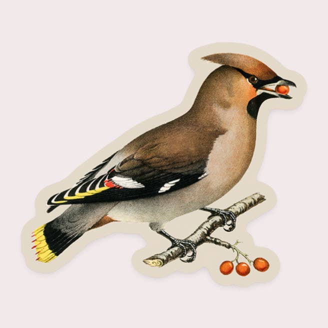 Gap Filler Mini Sticker