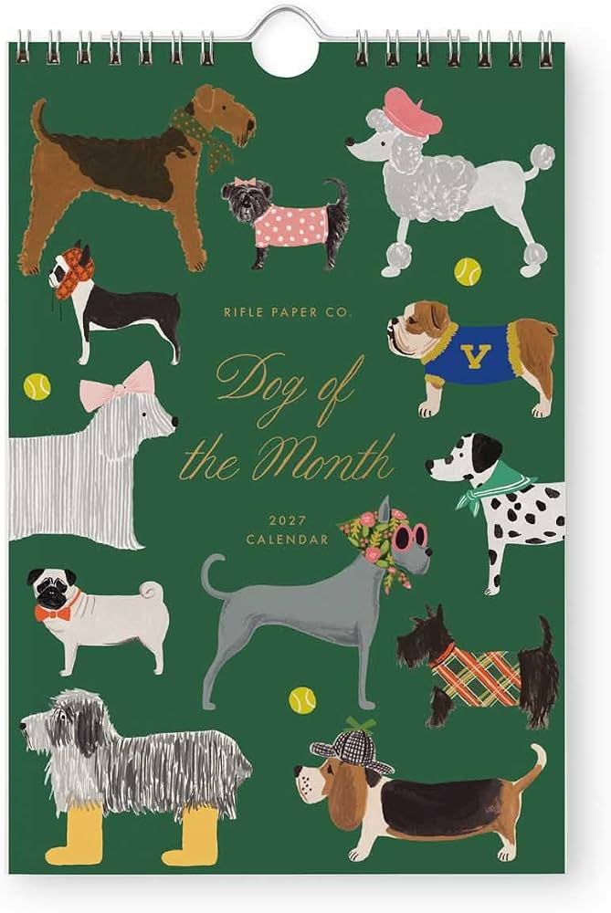2027 Dog of The Month Kitchen Calendar
