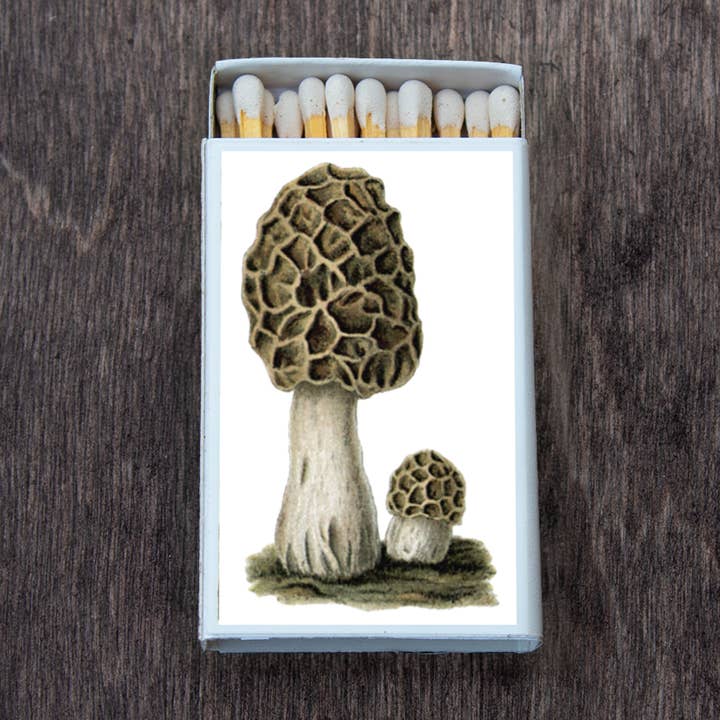 Mushroom Morel Matches