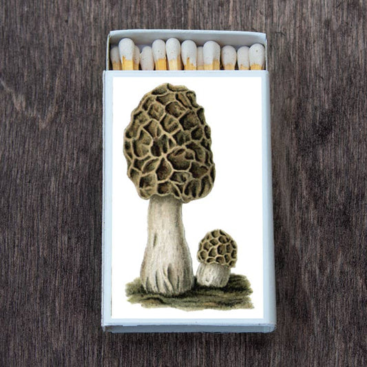 Mushroom Morel Matches