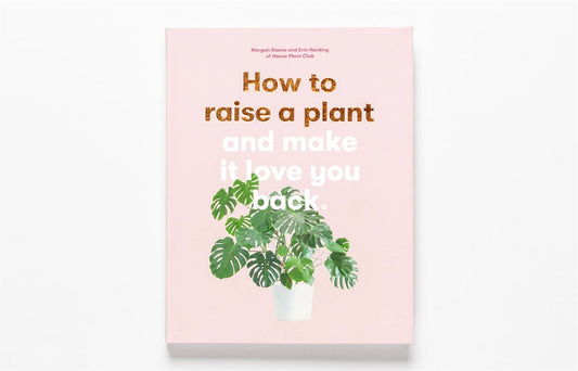 How to Raise a Plant