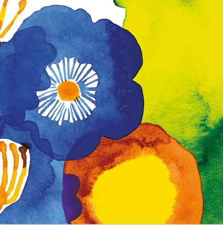 Marimekko Paper Napkins