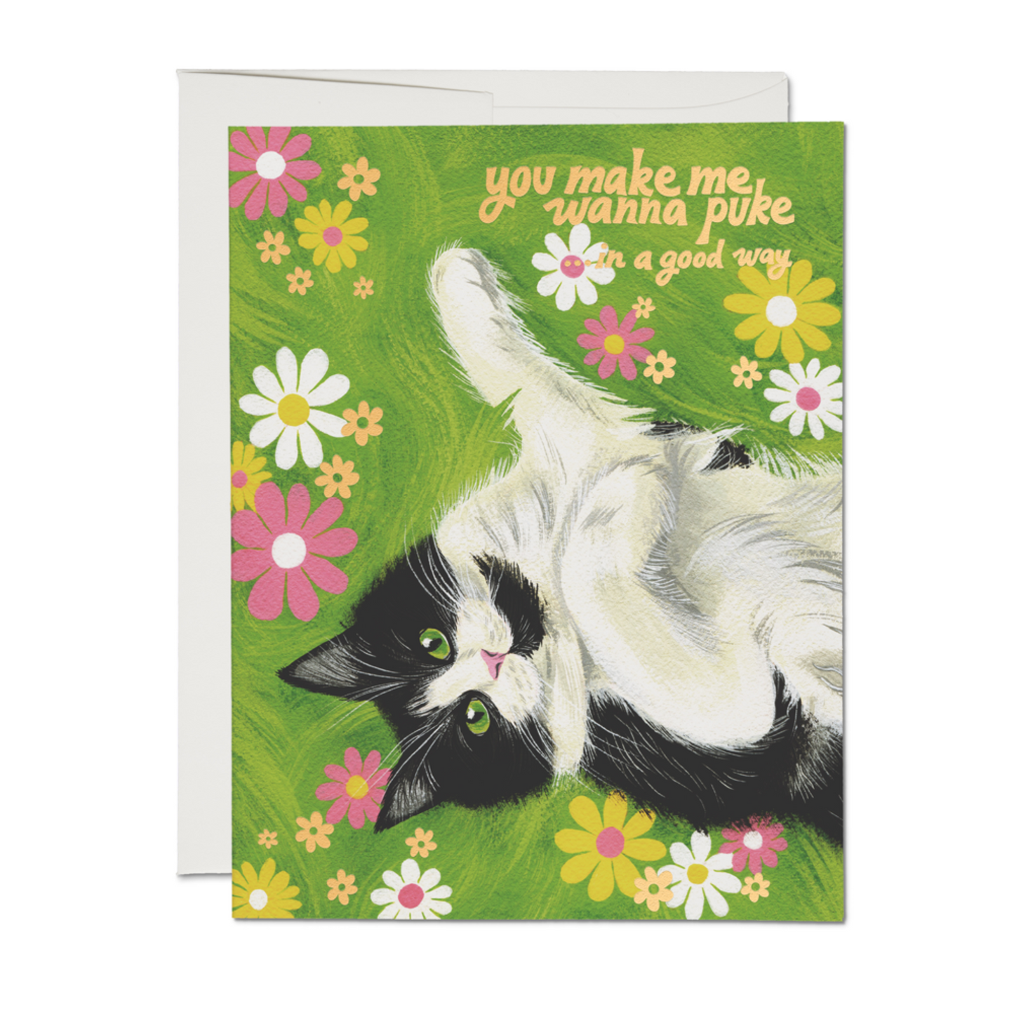 Nice Kitty Card
