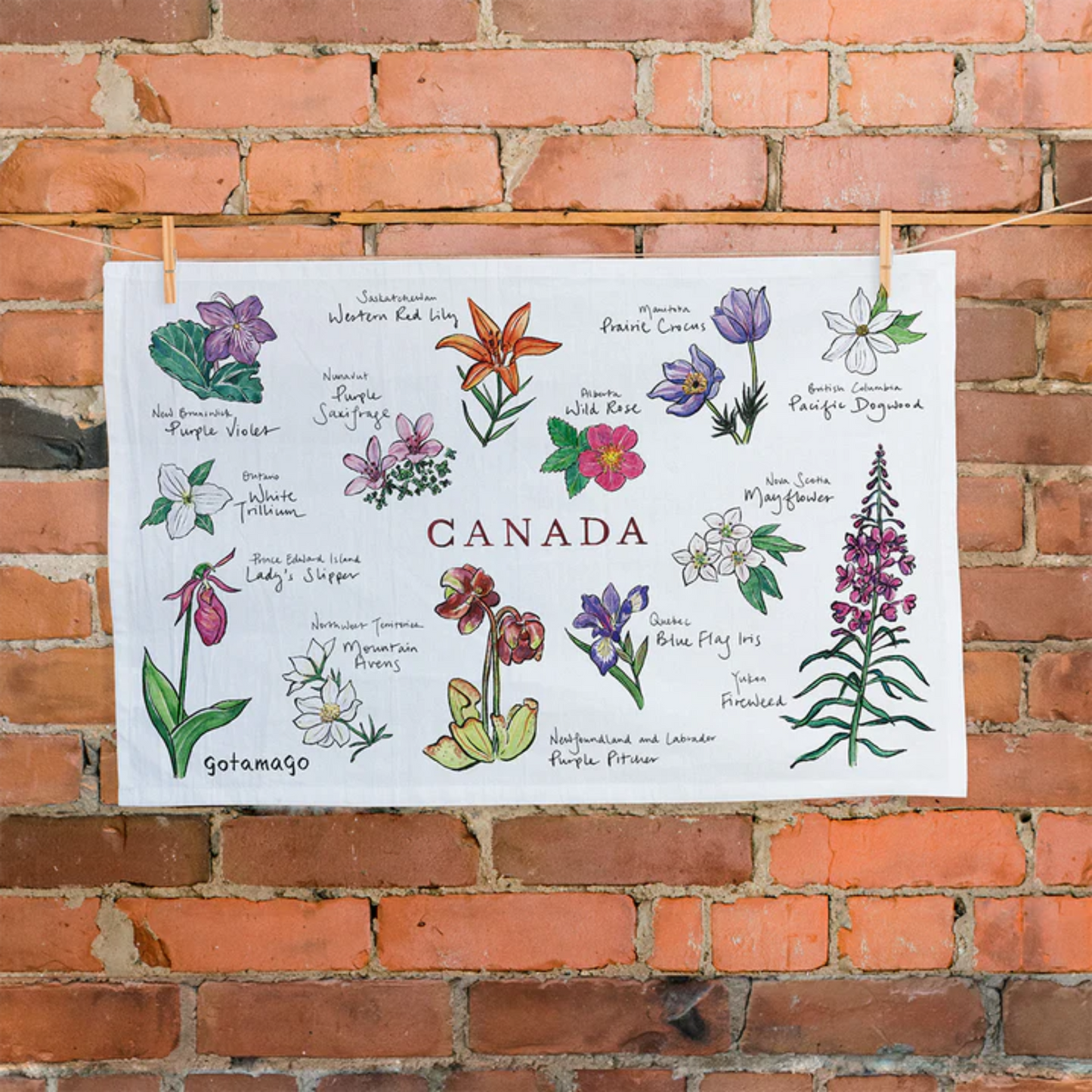 Floral Emblems - Canada Provincial Flowers Organic Tea Towel