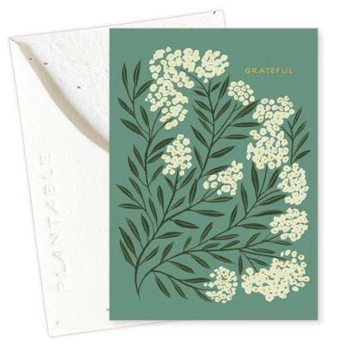 Grateful Mini Sprouts Card