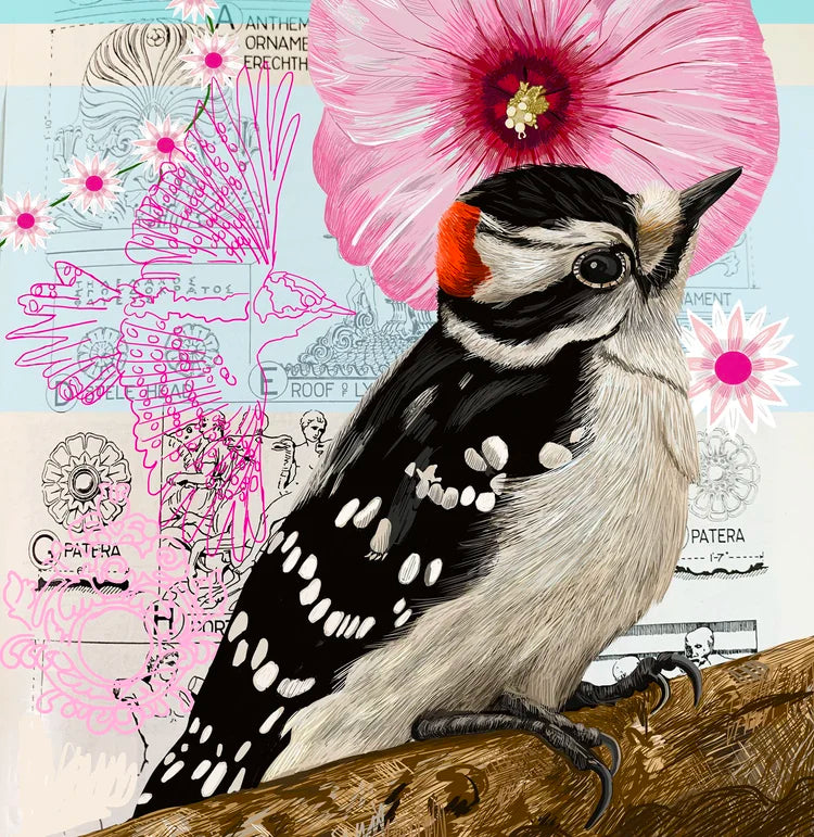 Downey Woodpecker Collage Card