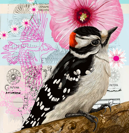 Downey Woodpecker Collage Card