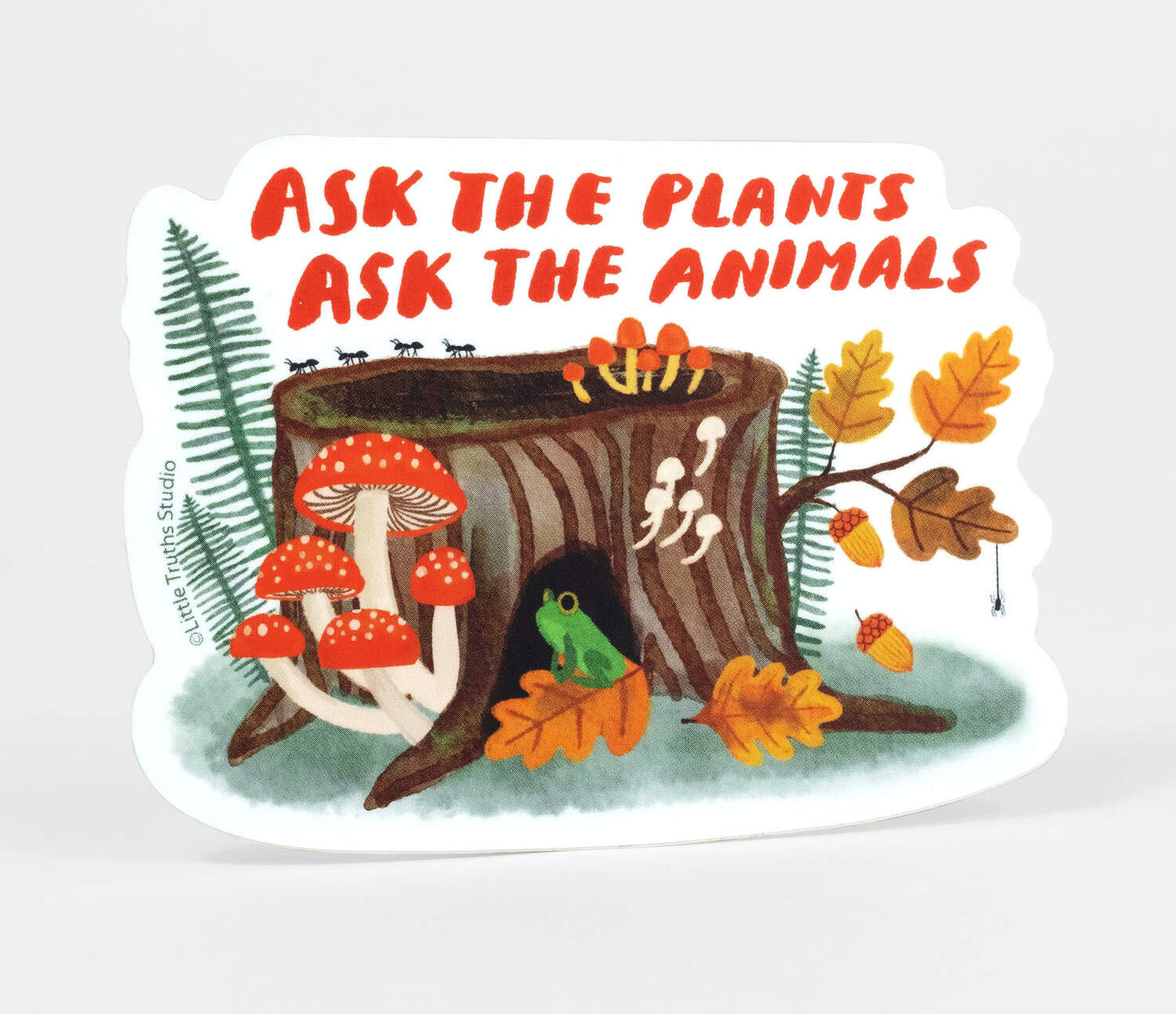 Ask The Plants, Ask The Animals Sticker